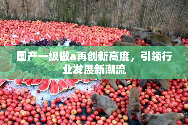 国产一级做a再创新高度，引领行业发展新潮流