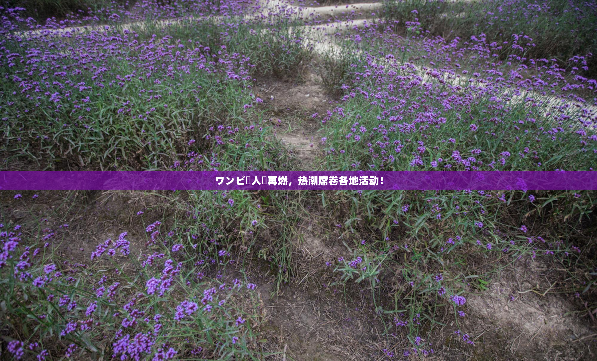 ワンピー人気再燃，热潮席卷各地活动！