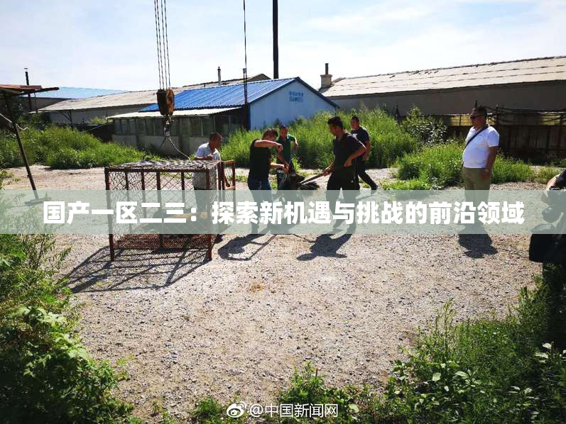 国产一区二三：探索新机遇与挑战的前沿领域