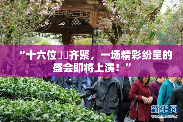 “十六位妺妺齐聚，一场精彩纷呈的盛会即将上演！”