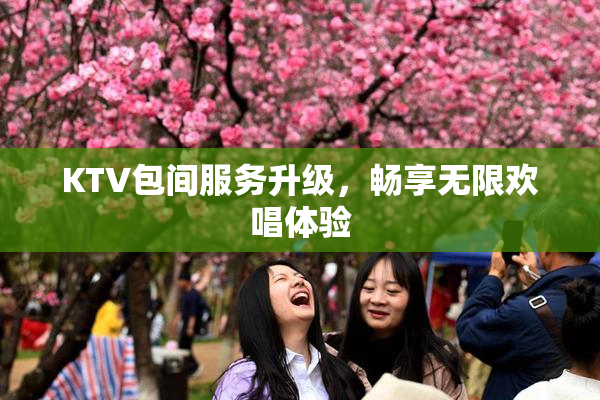 KTV包间服务升级，畅享无限欢唱体验