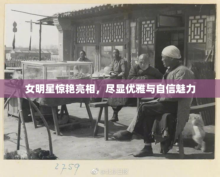 女明星惊艳亮相，尽显优雅与自信魅力