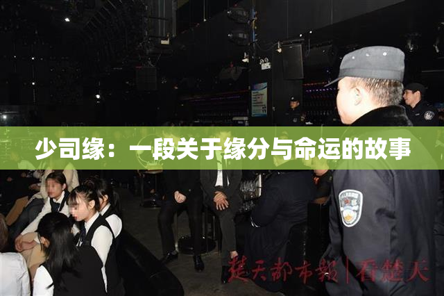 少司缘：一段关于缘分与命运的故事