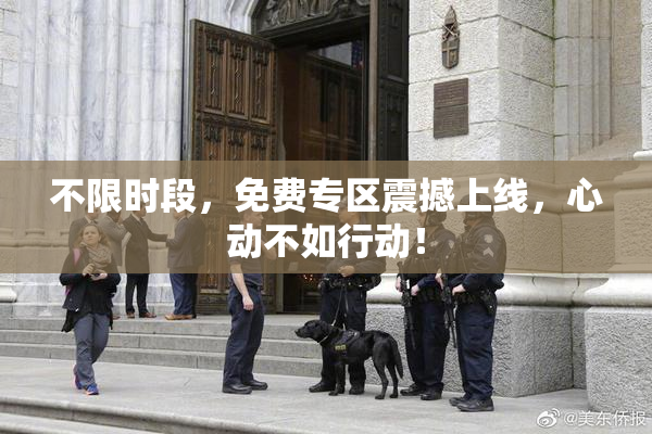 不限时段，免费专区震撼上线，心动不如行动！