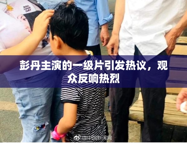 彭丹主演的一级片引发热议，观众反响热烈