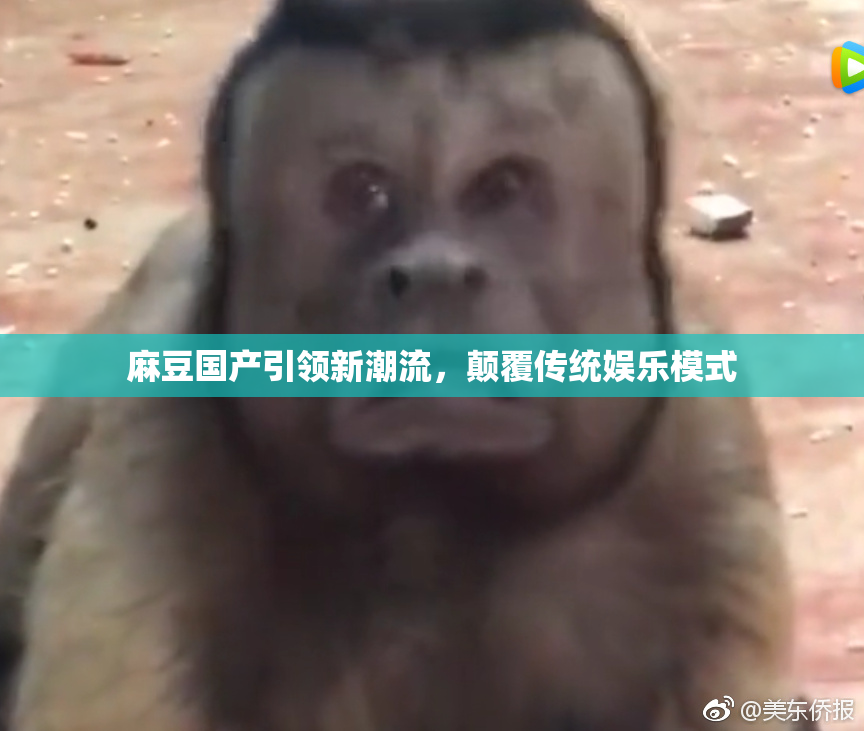 麻豆国产引领新潮流，颠覆传统娱乐模式
