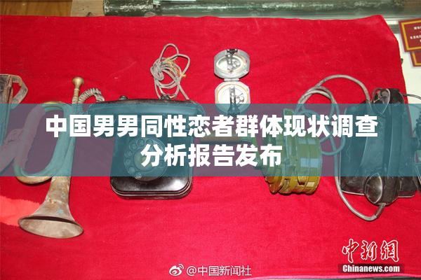 中国男男同性恋者群体现状调查分析报告发布