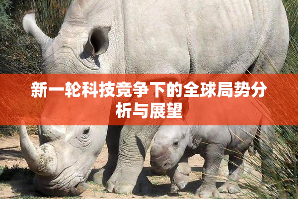 新一轮科技竞争下的全球局势分析与展望