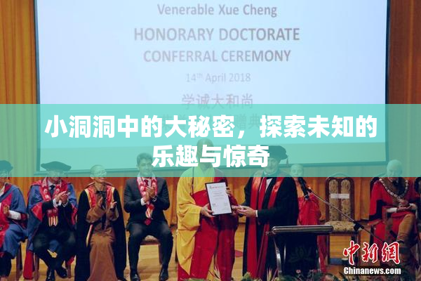 小洞洞中的大秘密，探索未知的乐趣与惊奇