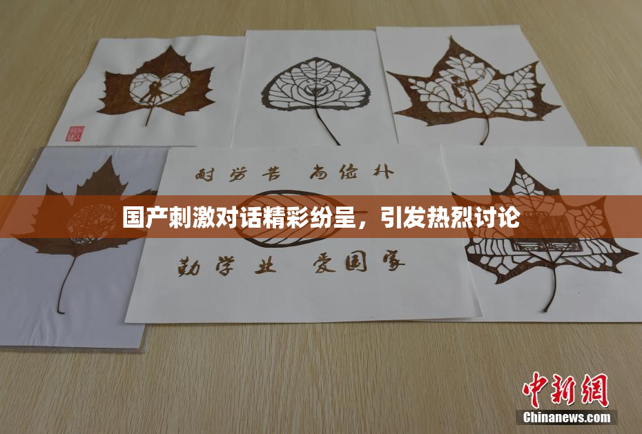 国产刺激对话精彩纷呈，引发热烈讨论