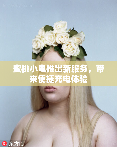 蜜桃小电推出新服务，带来便捷充电体验
