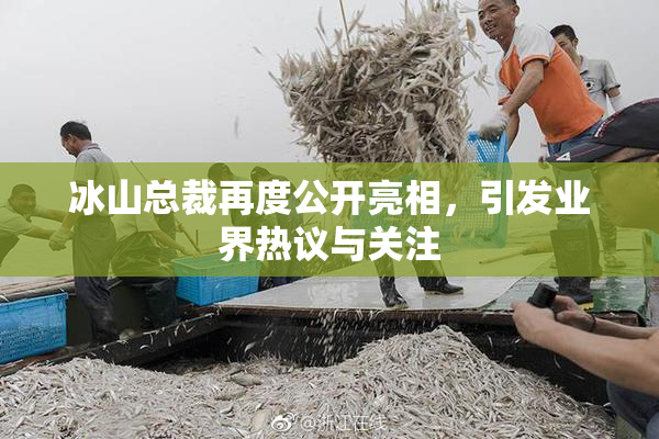 冰山总裁再度公开亮相，引发业界热议与关注