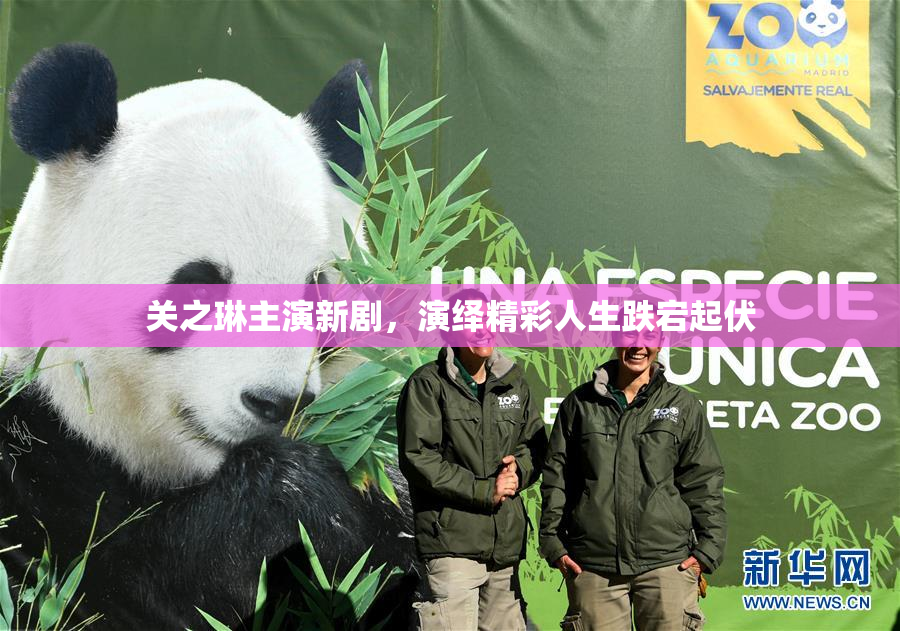 关之琳主演新剧，演绎精彩人生跌宕起伏