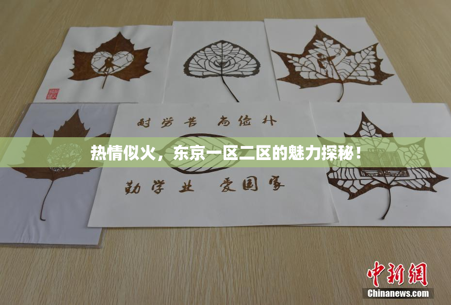 热情似火，东京一区二区的魅力探秘！