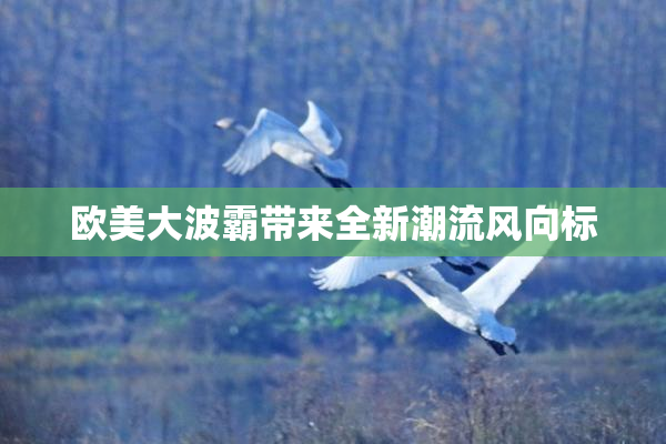 欧美大波霸带来全新潮流风向标