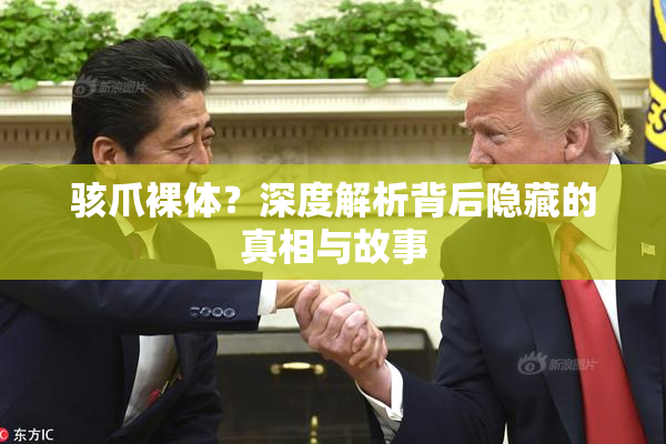 骇爪裸体？深度解析背后隐藏的真相与故事