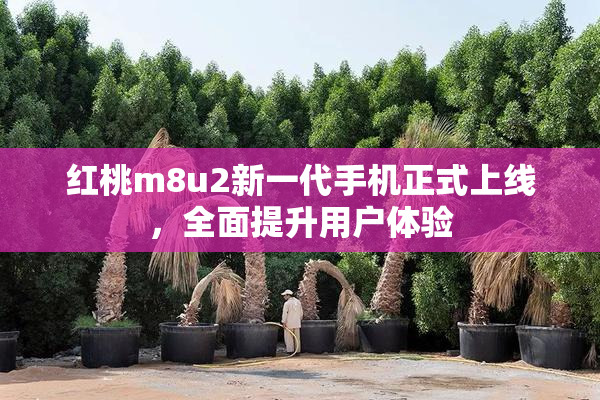 红桃m8u2新一代手机正式上线，全面提升用户体验