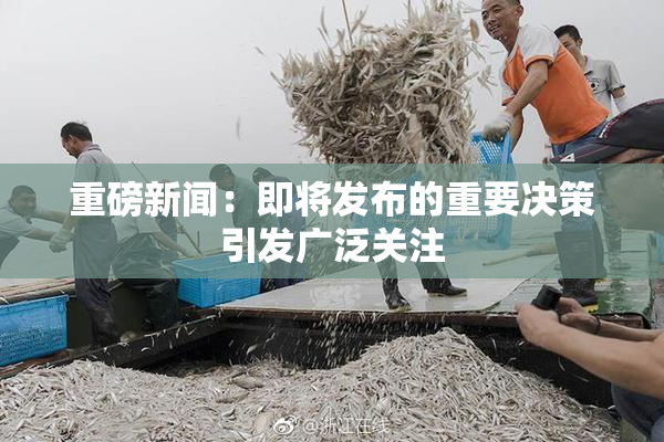 重磅新闻：即将发布的重要决策引发广泛关注