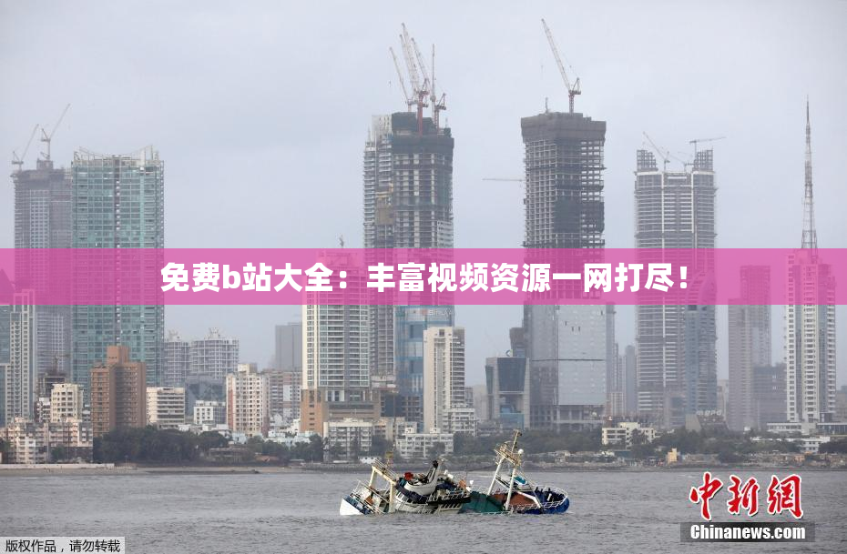 免费b站大全：丰富视频资源一网打尽！