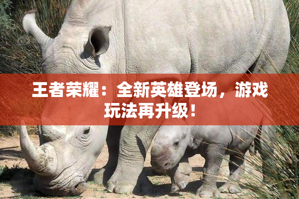 王者荣耀：全新英雄登场，游戏玩法再升级！