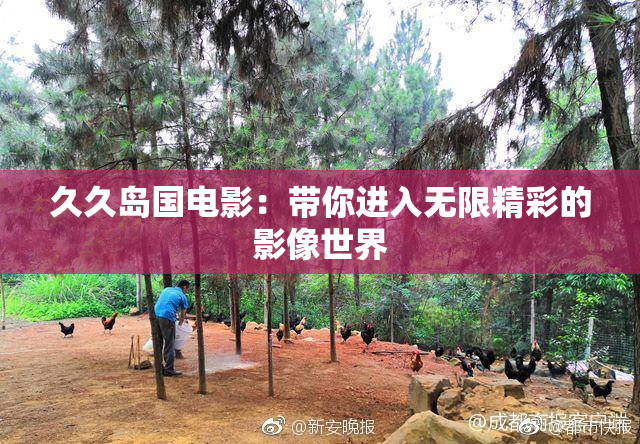 久久岛国电影：带你进入无限精彩的影像世界