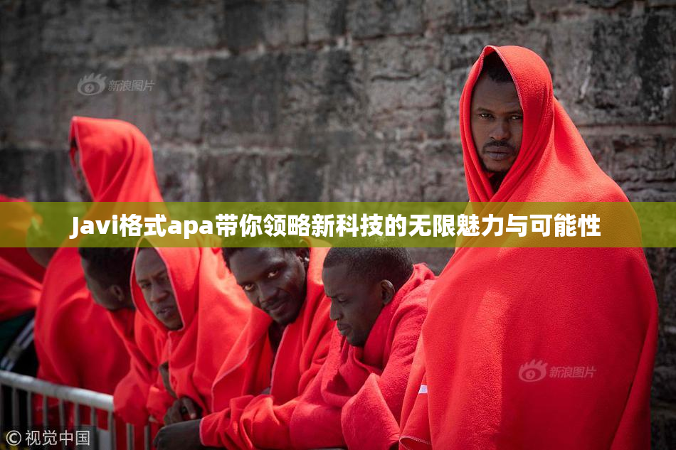 Javi格式apa带你领略新科技的无限魅力与可能性