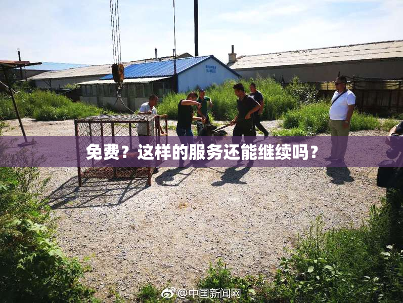 免费？这样的服务还能继续吗？