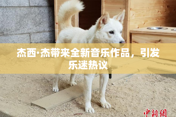 杰西·杰带来全新音乐作品，引发乐迷热议