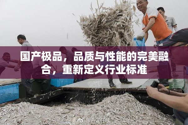 国产极品，品质与性能的完美融合，重新定义行业标准