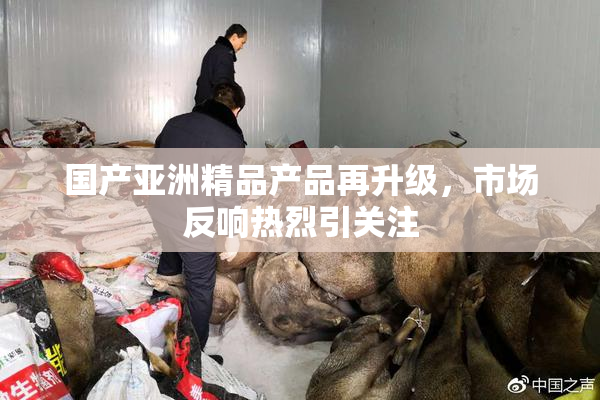 国产亚洲精品产品再升级，市场反响热烈引关注