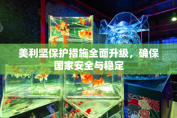 美利坚保护措施全面升级，确保国家安全与稳定
