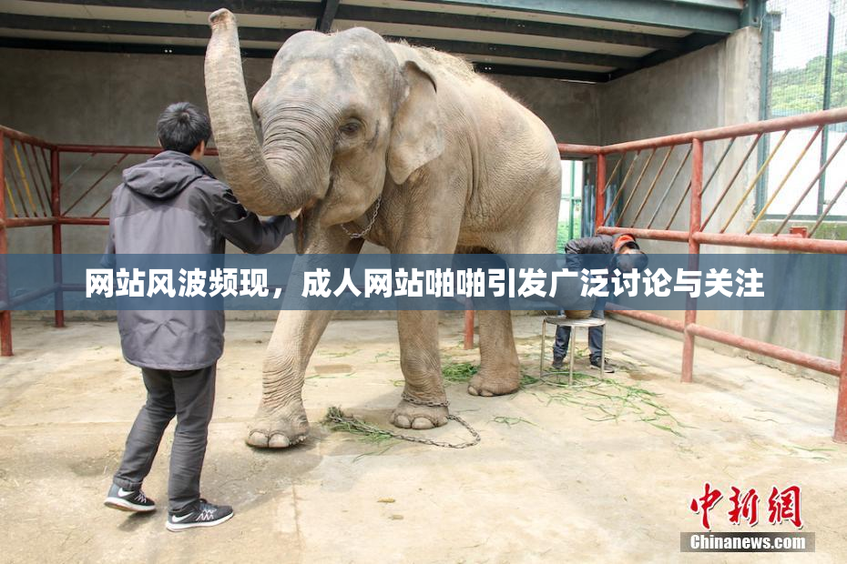 网站风波频现，成人网站啪啪引发广泛讨论与关注