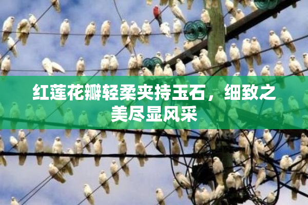 红莲花瓣轻柔夹持玉石，细致之美尽显风采