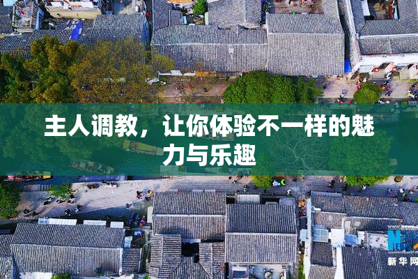 主人调教，让你体验不一样的魅力与乐趣