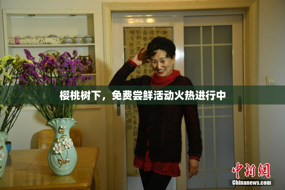 樱桃树下，免费尝鲜活动火热进行中