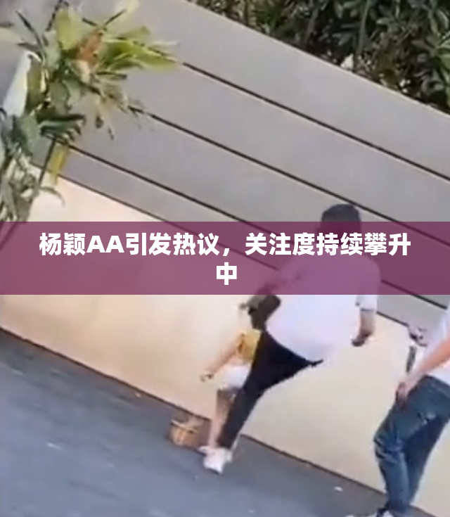 杨颖AA引发热议，关注度持续攀升中