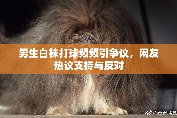 男生白袜打球频频引争议，网友热议支持与反对