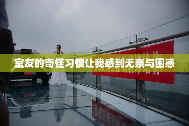 室友的奇怪习惯让我感到无奈与困惑