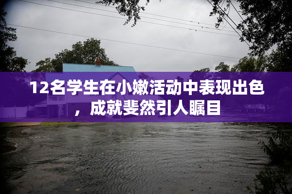 12名学生在小嫩活动中表现出色，成就斐然引人瞩目