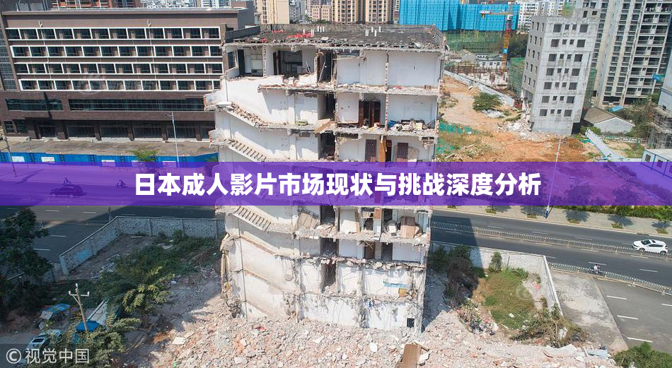 日本成人影片市场现状与挑战深度分析