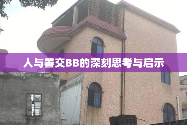 人与善交BB的深刻思考与启示