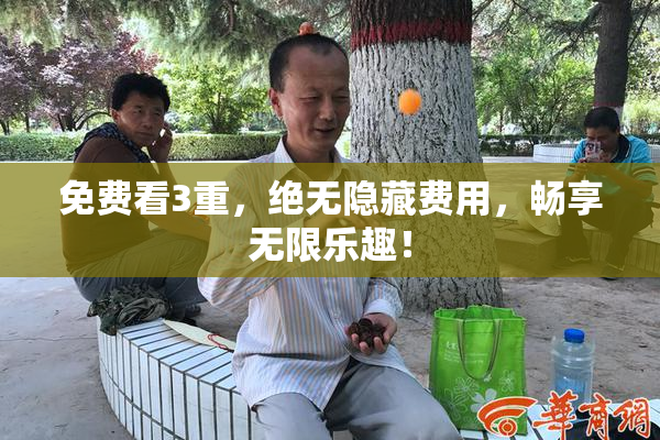 免费看3重，绝无隐藏费用，畅享无限乐趣！