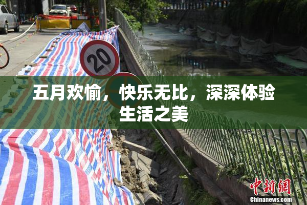 五月欢愉，快乐无比，深深体验生活之美