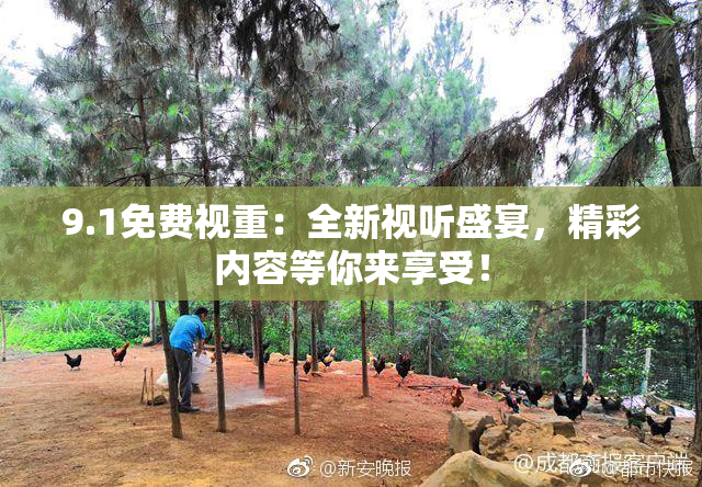 9.1免费视重：全新视听盛宴，精彩内容等你来享受！