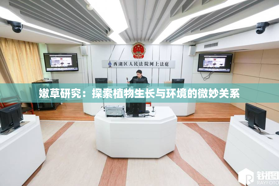 嫩草研究：探索植物生长与环境的微妙关系