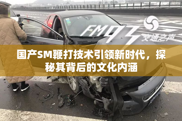 国产SM鞭打技术引领新时代，探秘其背后的文化内涵