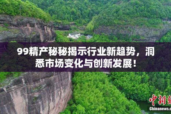 99精产秘秘揭示行业新趋势，洞悉市场变化与创新发展！