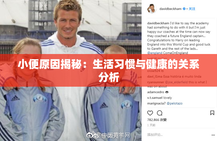 小便原因揭秘：生活习惯与健康的关系分析