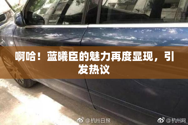 啊哈！蓝曦臣的魅力再度显现，引发热议