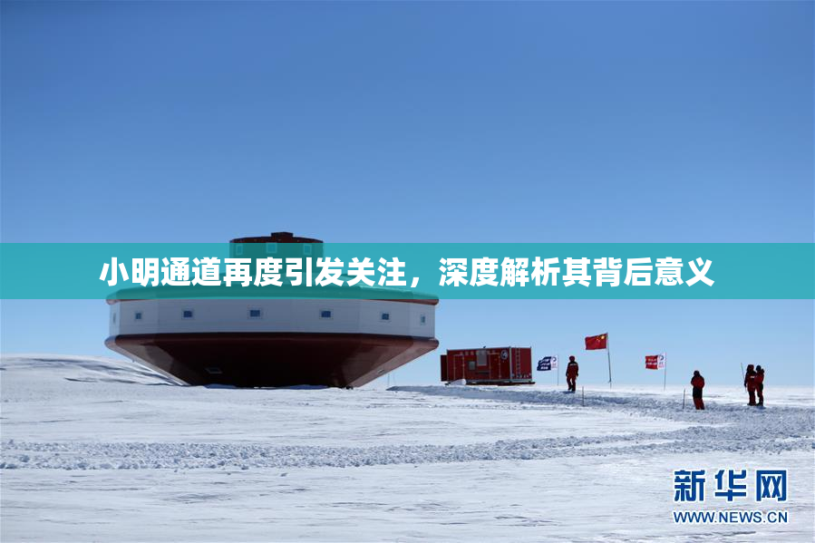 小明通道再度引发关注，深度解析其背后意义